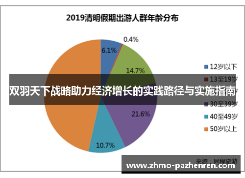 双羽天下战略助力经济增长的实践路径与实施指南 双羽天下战略助力经济增长的实践路径与实施指南