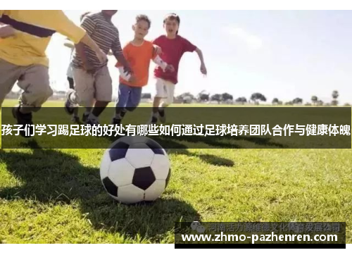 孩子们学习踢足球的好处有哪些如何通过足球培养团队合作与健康体魄