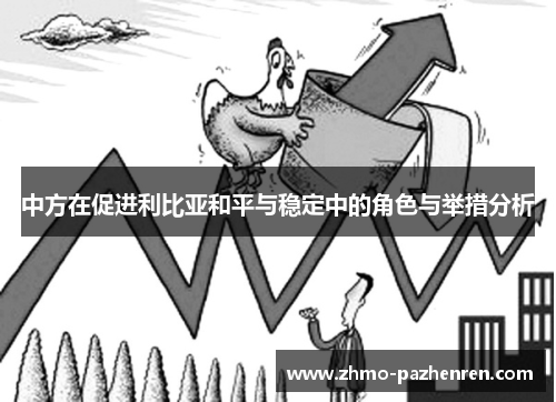 中方在促进利比亚和平与稳定中的角色与举措分析 中方在促进利比亚和平与稳定中的角色与举措分析