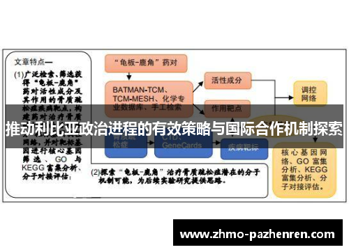 推动利比亚政治进程的有效策略与国际合作机制探索 推动利比亚政治进程的有效策略与国际合作机制探索