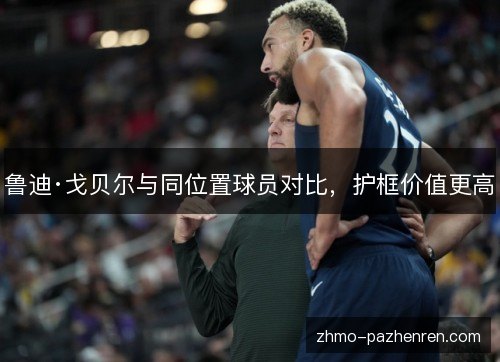 鲁迪·戈贝尔与同位置球员对比，护框价值更高